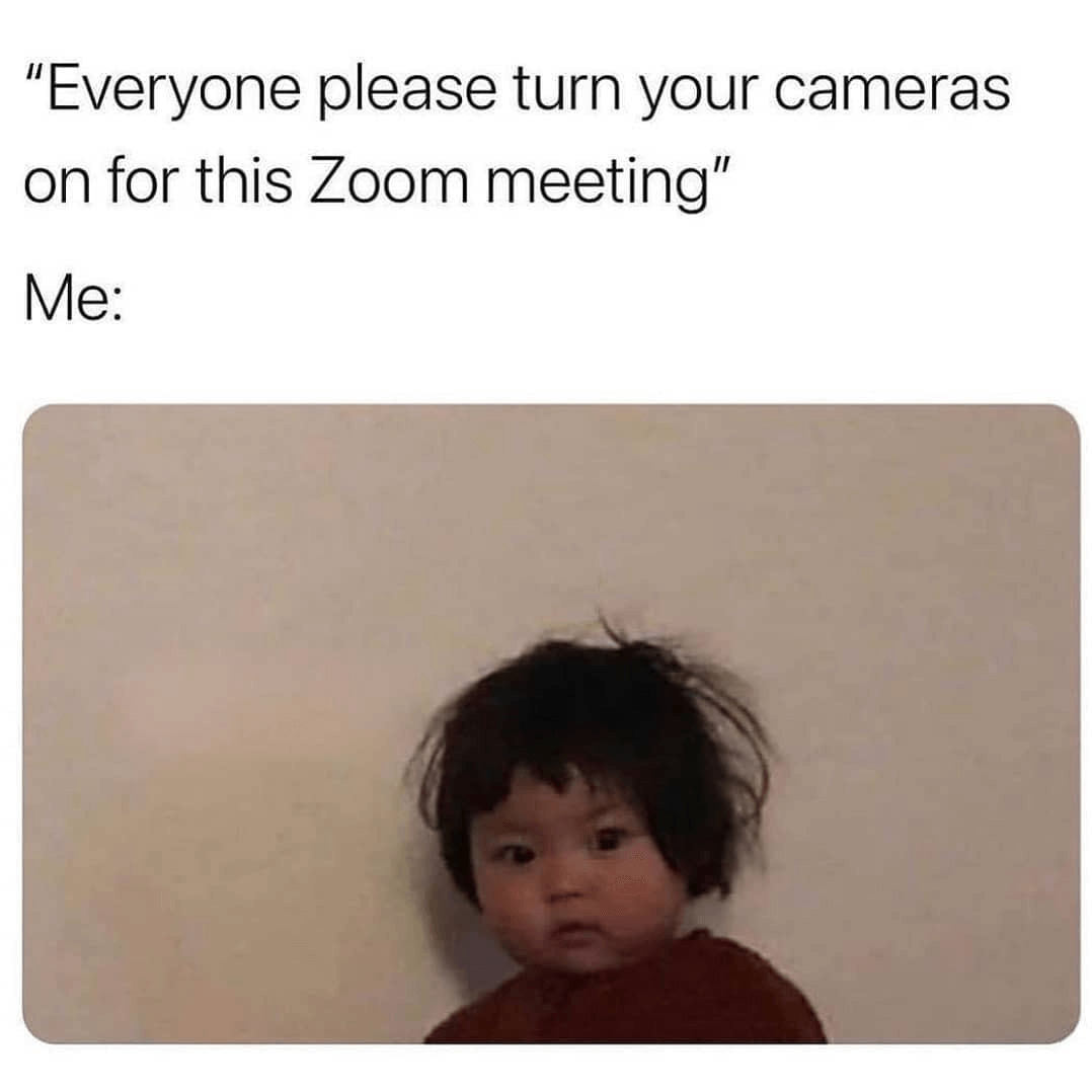34 Zoom Memes